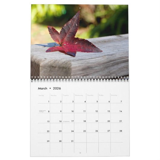 Herfstkleurenkalender Kalender (Mar 2026)