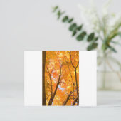 Herfstkleurstemming Briefkaart (Staand voorkant)