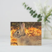 herfstkonijn briefkaart (Staand voorkant)