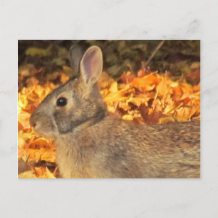herfstkonijn briefkaart