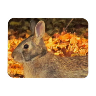herfstkonijn magneet