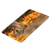 herfstkonijn magneet (Linkerzijde)