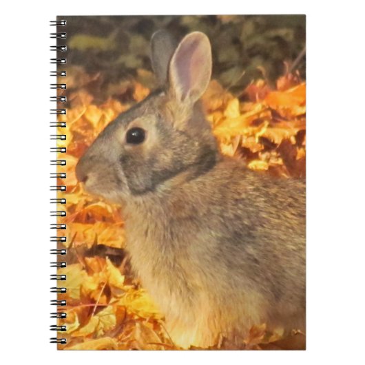 herfstkonijn notitieboek (Voorkant)
