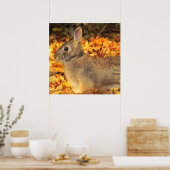 herfstkonijn poster (Keuken)