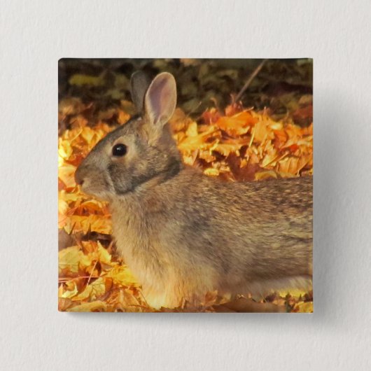herfstkonijn vierkante button 5,1 cm (Voorkant)