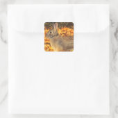 herfstkonijn vierkante sticker (Tas)