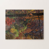 Herfstlandschap in Arkansas legpuzzel (Horizontaal)