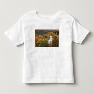 Herfstlandschap met kerk, Vermont, VS Kinder Shirts