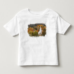 Herfstlandschap met kerk, Vermont, VS Kinder Shirts