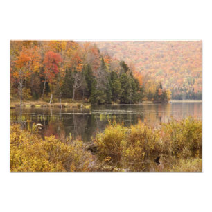 Herfstlandschap met meer, Vermont, VS 2 Foto Afdruk