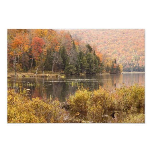 Herfstlandschap met meer, Vermont, VS 2 Foto Afdruk (Voorkant)