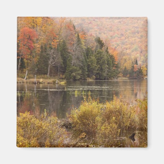 Herfstlandschap met meer, Vermont, VS 3 Magneet (Voorkant)