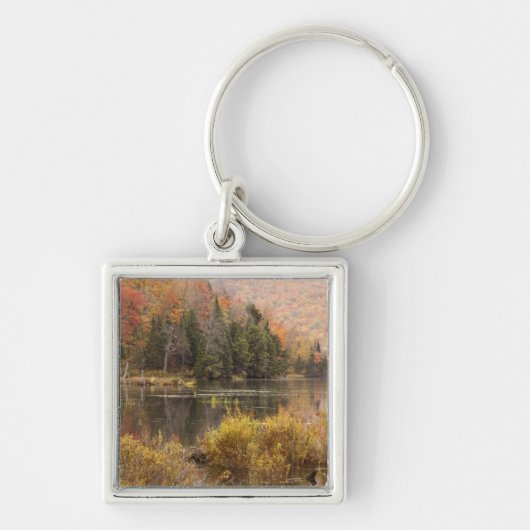 Herfstlandschap met meer, Vermont, VS 3 Sleutelhanger (Voorkant)