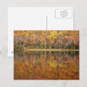 Herfstlandschap met meer, Vermont, VS Briefkaart (Voorkant / Achterkant)