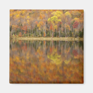 Herfstlandschap met meer, Vermont, VS Magneet