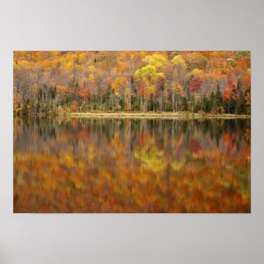 Herfstlandschap met meer, Vermont, VS Poster (Voorkant)