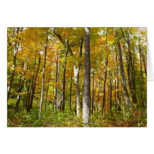 Herfstlandschap van bos met gele bladeren