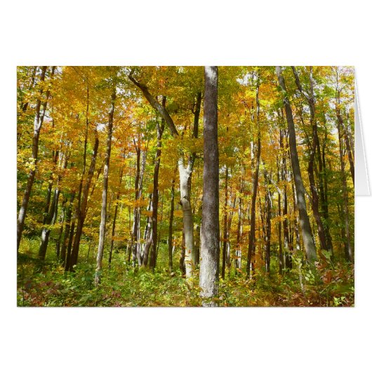 Herfstlandschap van bos met gele bladeren (Voorkant Horizontaal)