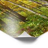 Herfstlandschap van bos met gele bladeren foto afdruk (Hoek)