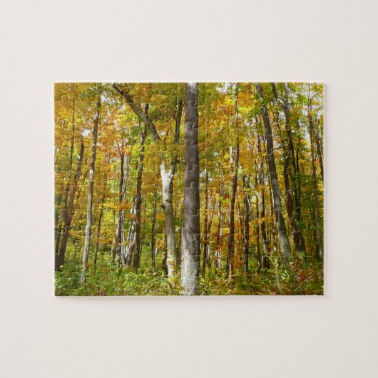 Herfstlandschap van bos met gele bladeren legpuzzel (Horizontaal)