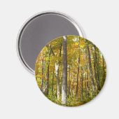 Herfstlandschap van bos met gele bladeren magneet (Voorkant / Achterkant)