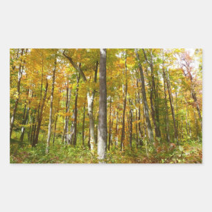 Herfstlandschap van bos met gele bladeren rechthoekige sticker