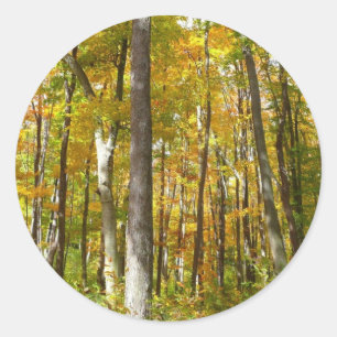 Herfstlandschap van bos met gele bladeren ronde sticker