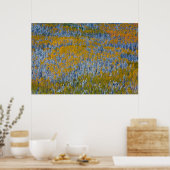 Herfstlandschap van bos poster (Keuken)
