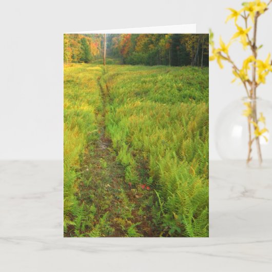 Herfstlandschap van Fern Kaart (Gele Bloem)