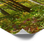 Herfstlandschap van Gele Bladeren Bos Poster (Hoek)