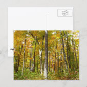 Herfstlandschap van Gele Bladeren Briefkaart (Voorkant / Achterkant)
