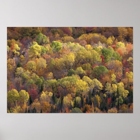 Herfstlandschap, Vermont, Verenigde Staten Poster (Voorkant)