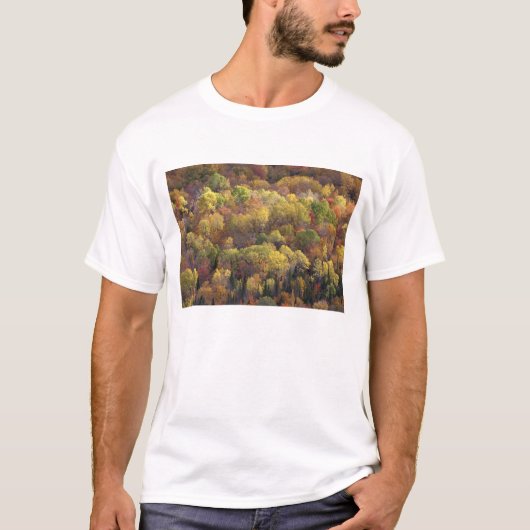 Herfstlandschap, Vermont, VS 2 T-shirt (Voorkant)
