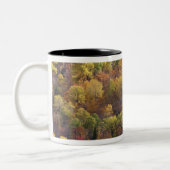 Herfstlandschap, Vermont, VS 2 Tweekleurige Koffiemok (Links)