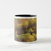 Herfstlandschap, Vermont, VS 2 Tweekleurige Koffiemok (Center)