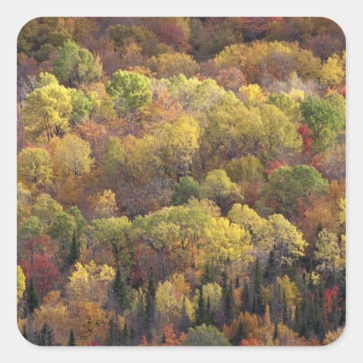 Herfstlandschap, Vermont, VS 2 Vierkante Sticker (Voorkant)