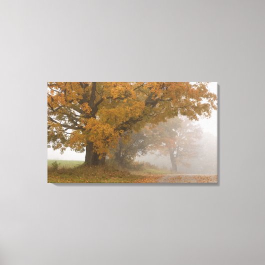 Herfstlandschap, Vermont, VS 4 Canvas Afdruk (Voorkant)