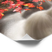 Herfstlandschap, Vermont, VS 4 Foto Afdruk (Hoek)