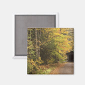 Herfstlandschap, Vermont, VS 4 Magneet (Voorkant / Achterkant)