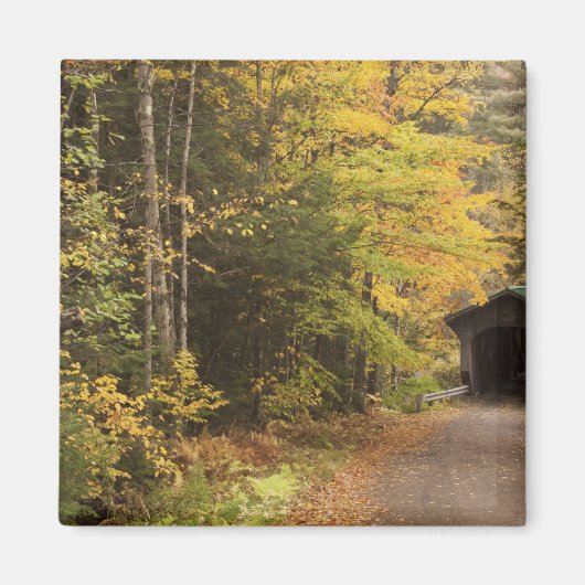 Herfstlandschap, Vermont, VS 4 Magneet (Voorkant)