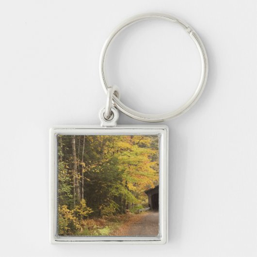 Herfstlandschap, Vermont, VS 4 Sleutelhanger (Voorkant)