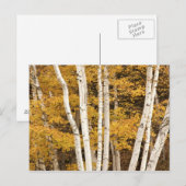 Herfstlandschap, Vermont, VS Briefkaart (Voorkant / Achterkant)