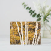 Herfstlandschap, Vermont, VS Briefkaart (Staand voorkant)