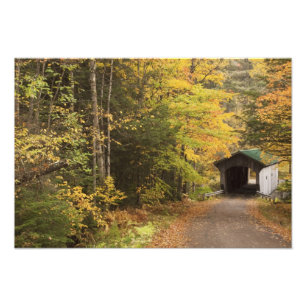 Herfstlandschap, Vermont, VS Foto Afdruk