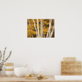 Herfstlandschap, Vermont, VS Poster (Keuken)