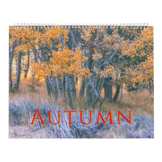Herfstlandschappen Kalender (Hoes)