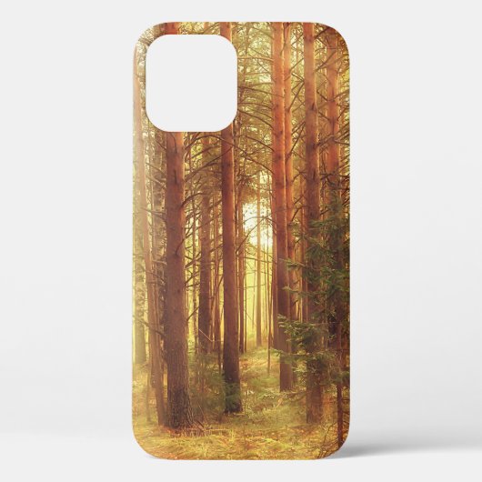 herfstlandschapsachtergrond , zonnestralen in de v Case-Mate iPhone case (Achterkant)