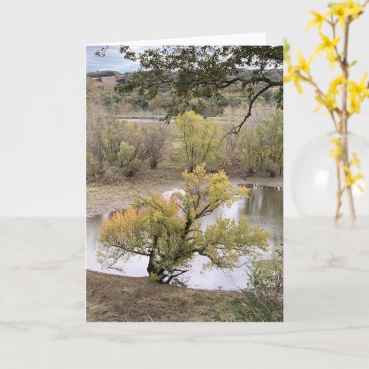 Herfstloof bij Good Earth State Park Kaart (Gele Bloem)