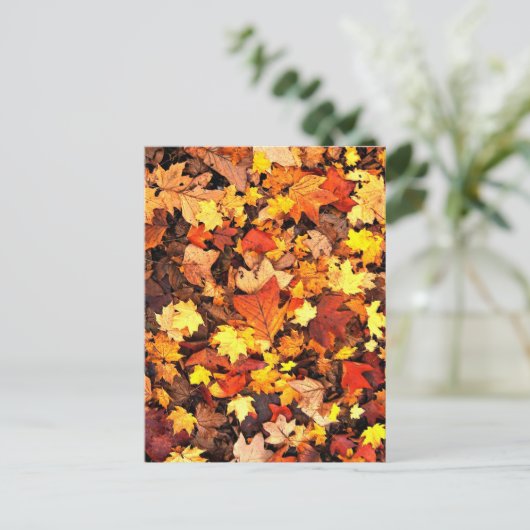 Herfstloof, de kleuren van de herfst briefkaart (Staand voorkant)