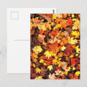 Herfstloof, de kleuren van de herfst briefkaart (Voorkant / Achterkant)